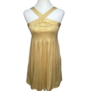 Alyn Paige Gold Lame Dress